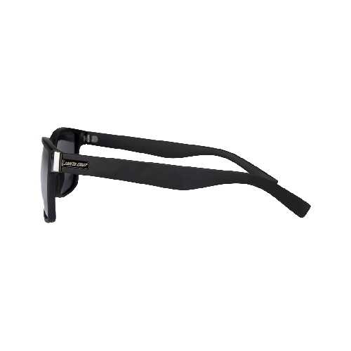 SANTA CRUZ LUCIEN SUNGLASSES Black Silver