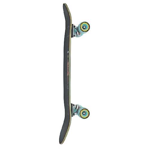 GLOBE BIG BAD BRUISER CRUISER 10 375 x 32 5