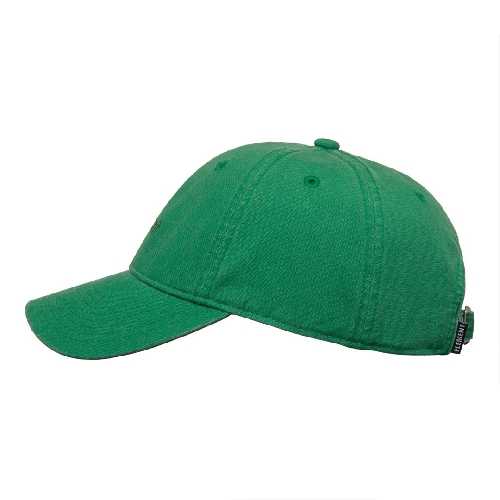 ELEMENT LOWCASE DAD CAP Fir