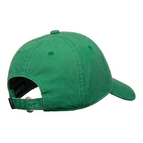 ELEMENT LOWCASE DAD CAP Fir