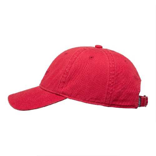 ELEMENT LOWCASE DAD CAP Cardinal