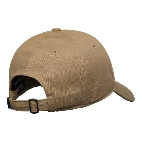 ELEMENT ICON DAD CAP TWILL Aluminum