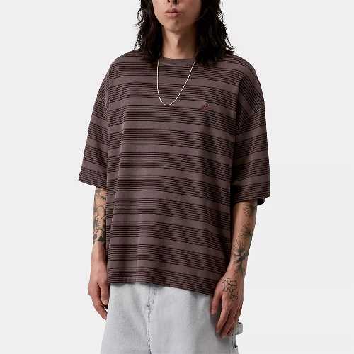 CARHARTT WIP HANSON TSHIRT Palisander garment dyed