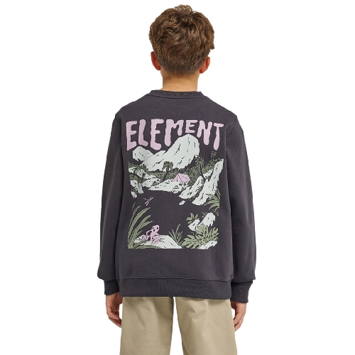 ELEMENT LAKESIDE CR YOUTH Off black