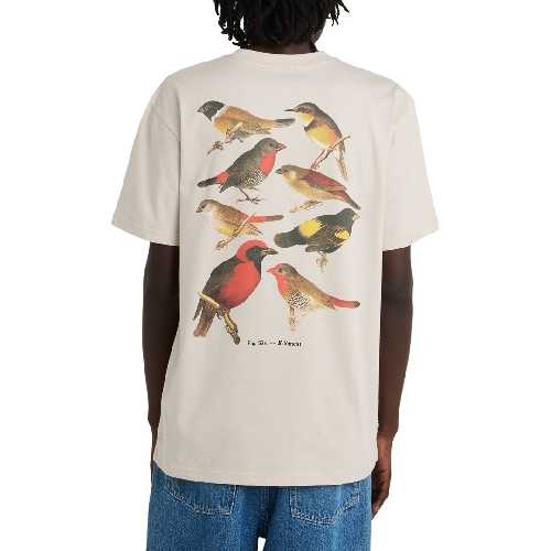 ELEMENT ORNI SS TEE Oat Milk