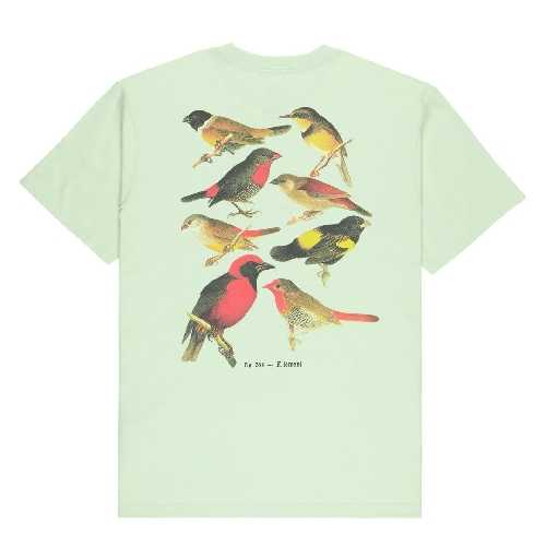 ELEMENT ORNI SS TEE Green Lily