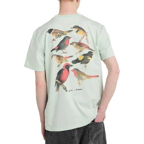 ELEMENT ORNI SS TEE Green Lily