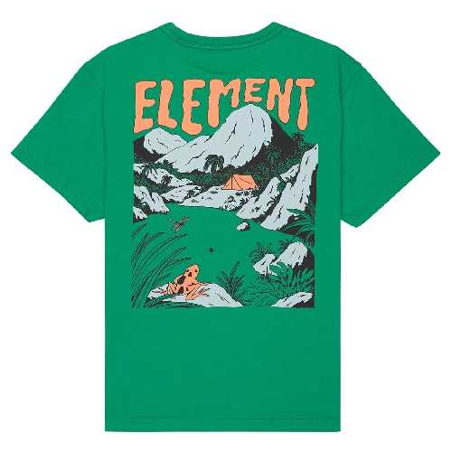 ELEMENT LAKESIDE SS TEE YOUTH Fir