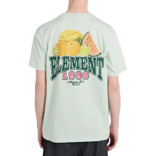 ELEMENT FRUIT SS TEE Green Lilly