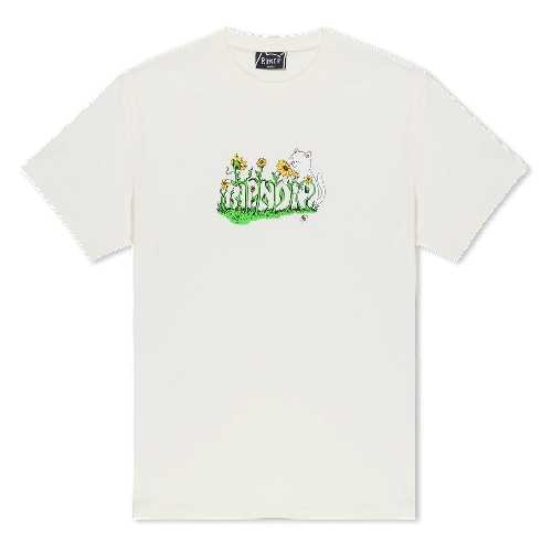 Ripndip FLOWER BOY TEE Bone