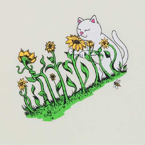 Ripndip FLOWER BOY TEE Bone