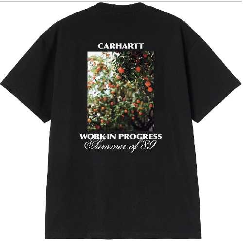CARHARTT WIP WARM VIEWS TSHIRT Black