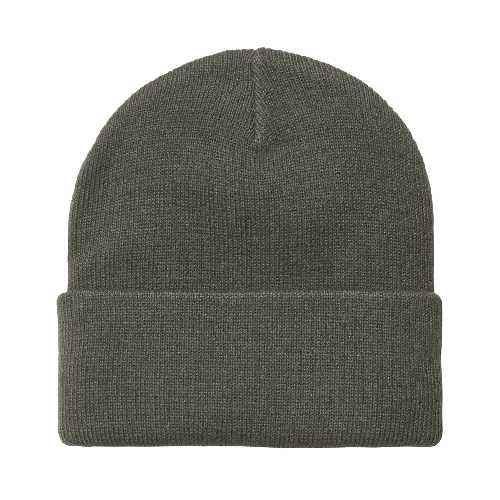 CARHARTT WIP SHORT WATCH HAT Shungite