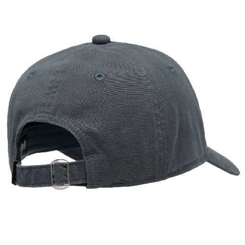 ELEMENT LOWCASE DAD CAP dark slate