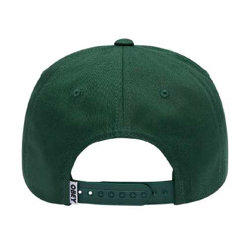 OBEY DELTA 5 PANEL SNAPBACK Posy green