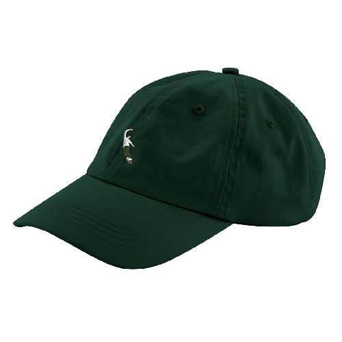 MAGENTA PWS DAD HAT Green
