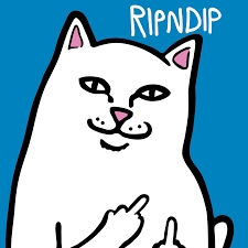 RIPNDIP