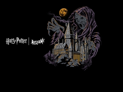 Welcome x Harry Potter